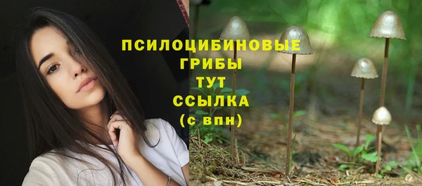 СК Алзамай