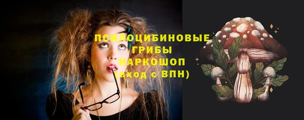 СК Алзамай