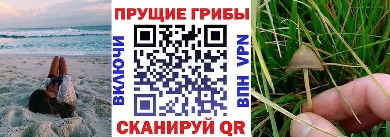 Галлюциногенные грибы Magic Shrooms Саров
