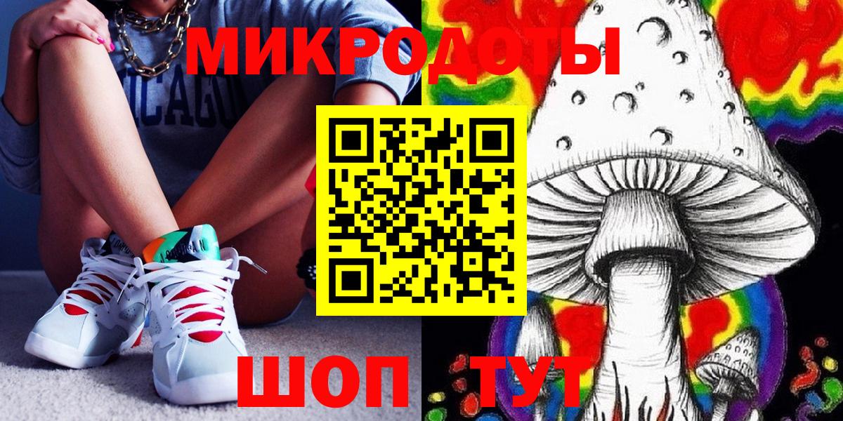 Галлюциногенные грибы Psilocybe Саров